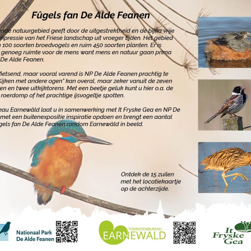 flyer a3 fugels2